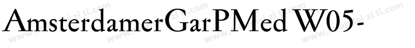 AmsterdamerGarPMed W05字体转换